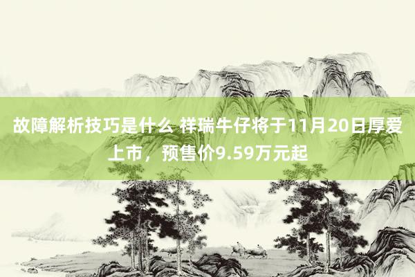 故障解析技巧是什么 祥瑞牛仔将于11月20日厚爱上市，预售价9.59万元起