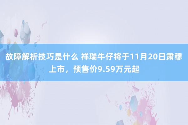 故障解析技巧是什么 祥瑞牛仔将于11月20日肃穆上市，预售价9.59万元起